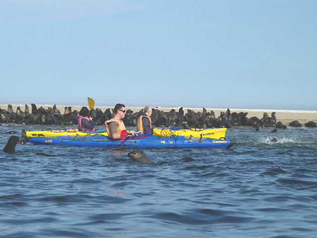 Photos from our Guide: Kayaking in Walvis Bay