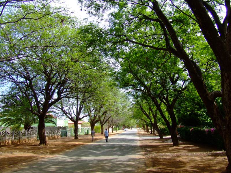 Visit to Tsumeb