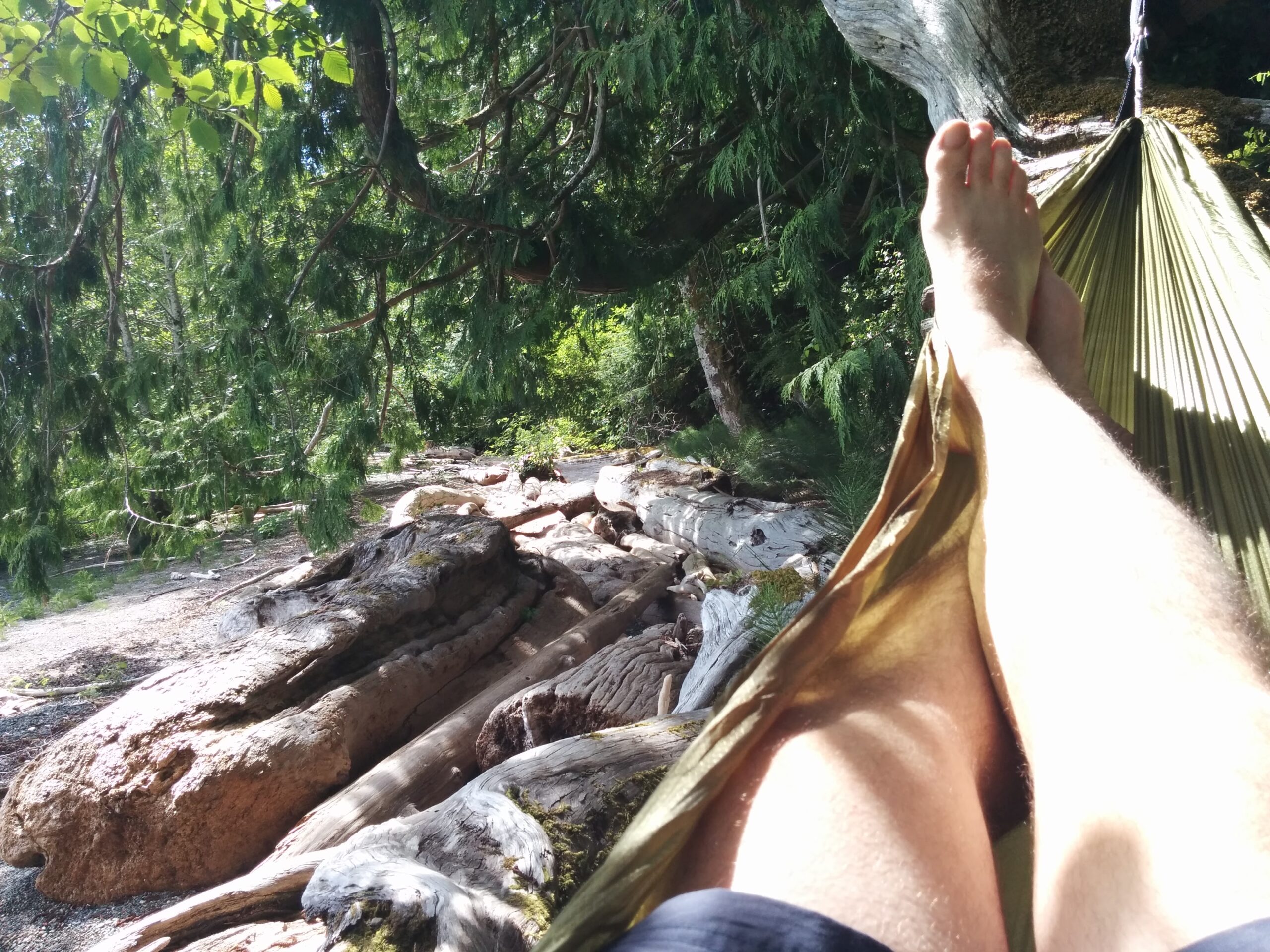 Kayaking on Kennedy Lake