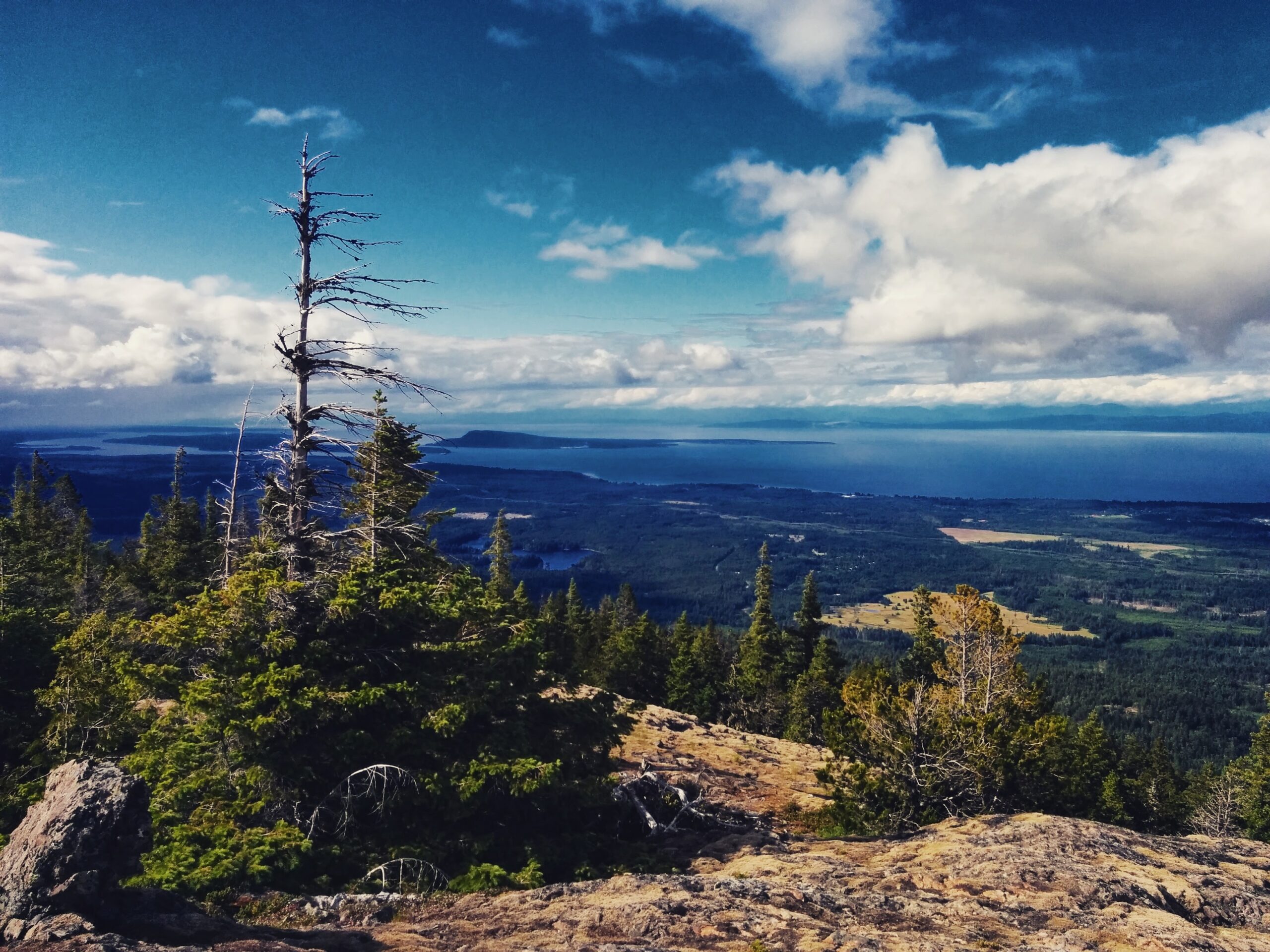 Overnight trip on Wesley Ridge above Cameron Lake