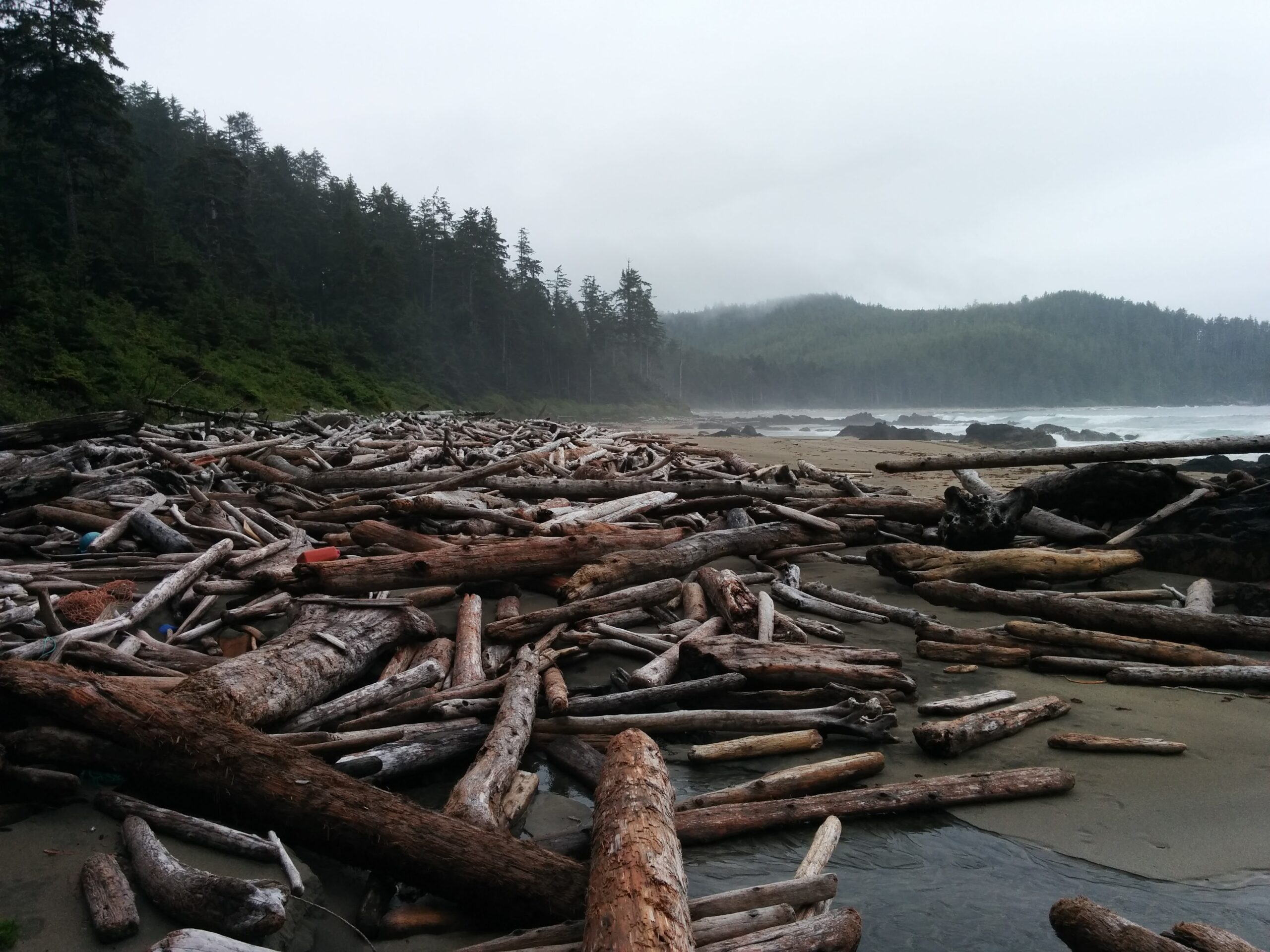 Cape Scott: Lowrie Bay Adventure