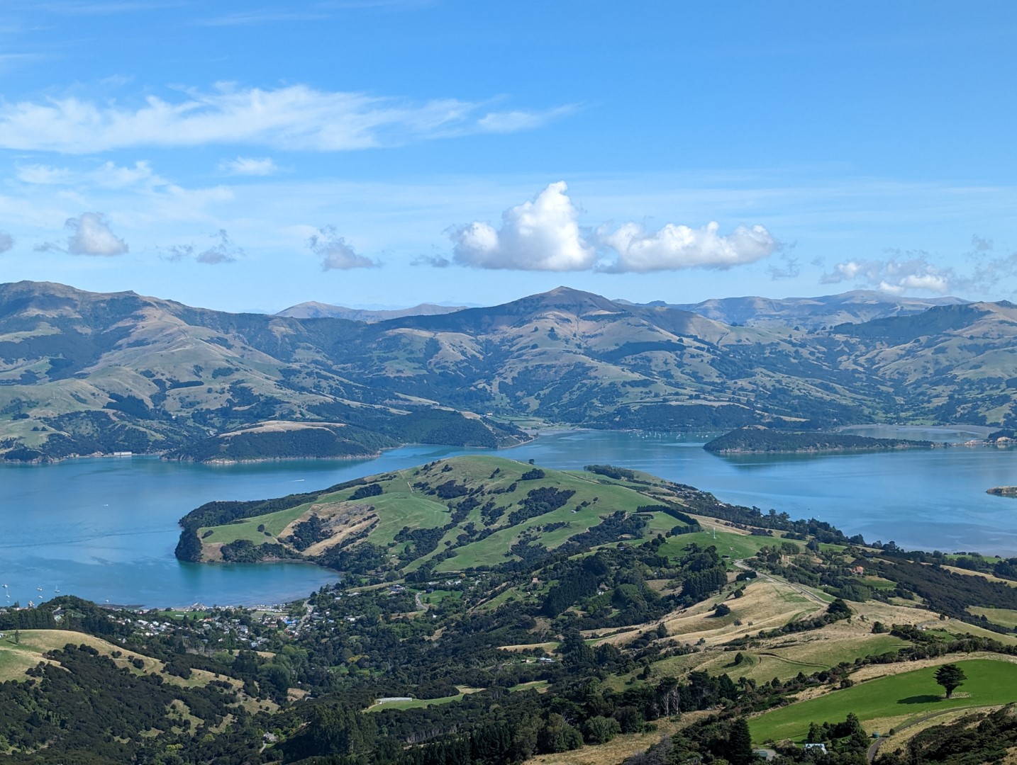 Curry Track/Ellangowan Reserve/Takamatua Valley