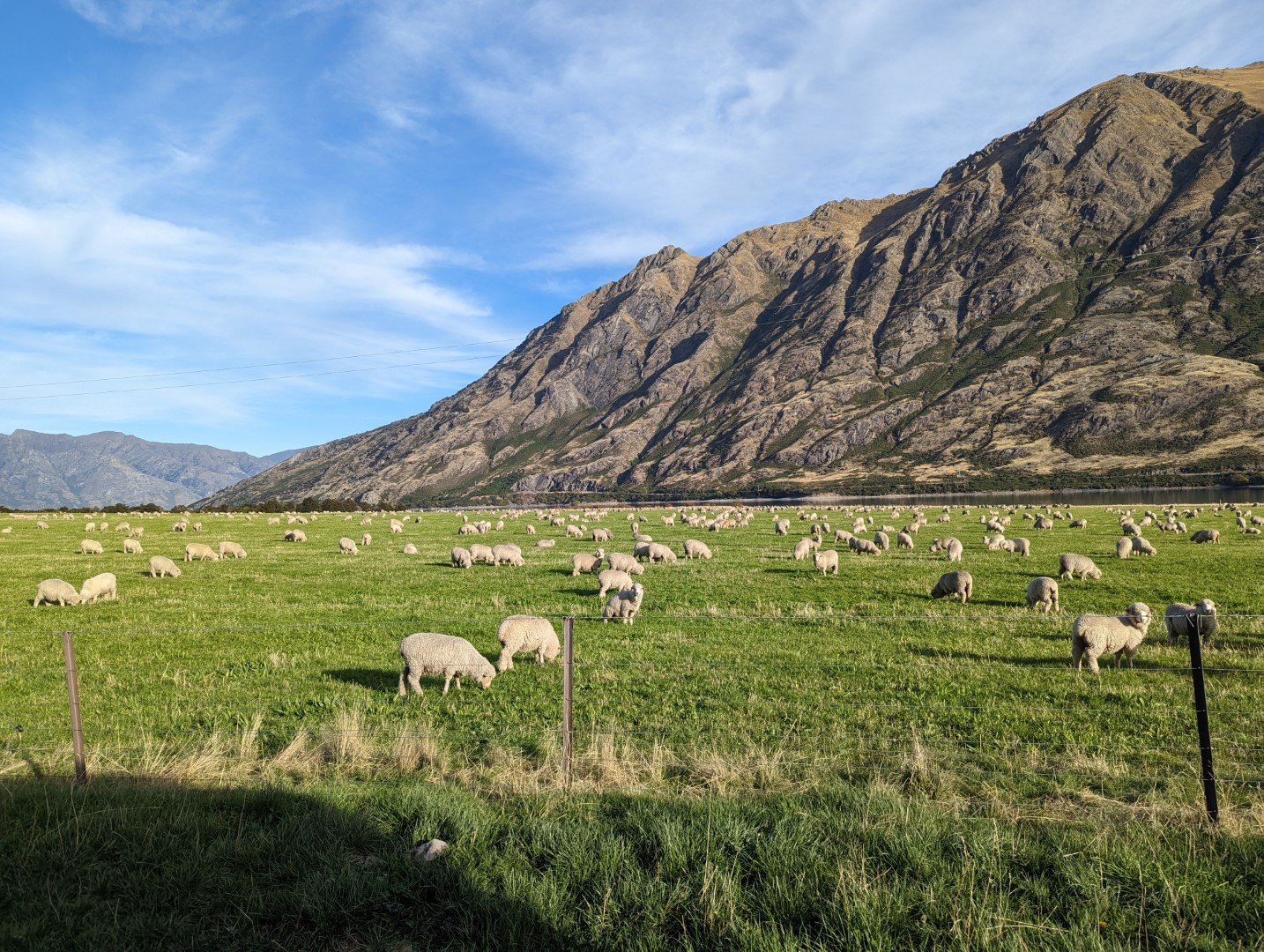 NZ Road Trip: South Island Day 7 Lake Hawea