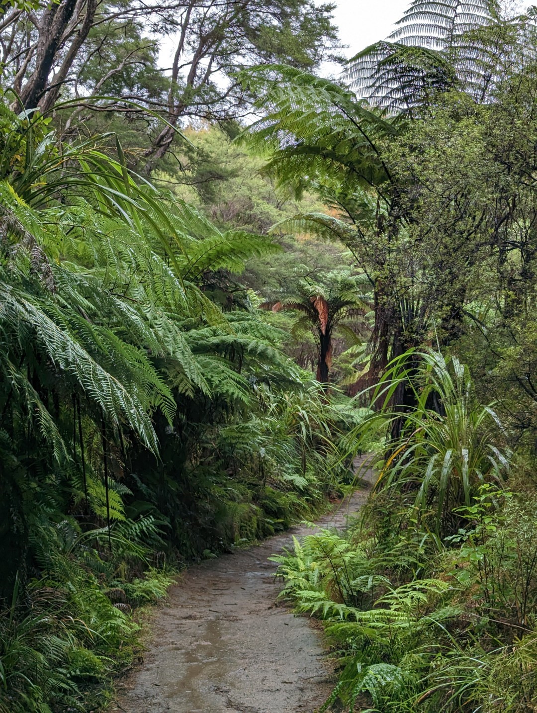 NZ Road Trip: South Island Day 11 Exploring the Abel Tasman National Park